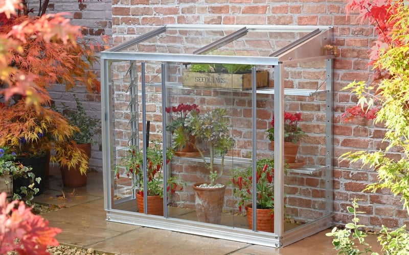Budget mini greenhouse lean-to - Access Harlow 2x3 with toughened glass against a house wall