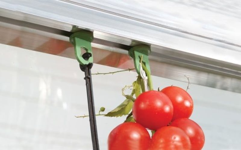 Palram Plant Hangers pack of 10 - solid plant hooks for greenhouse vertical growing