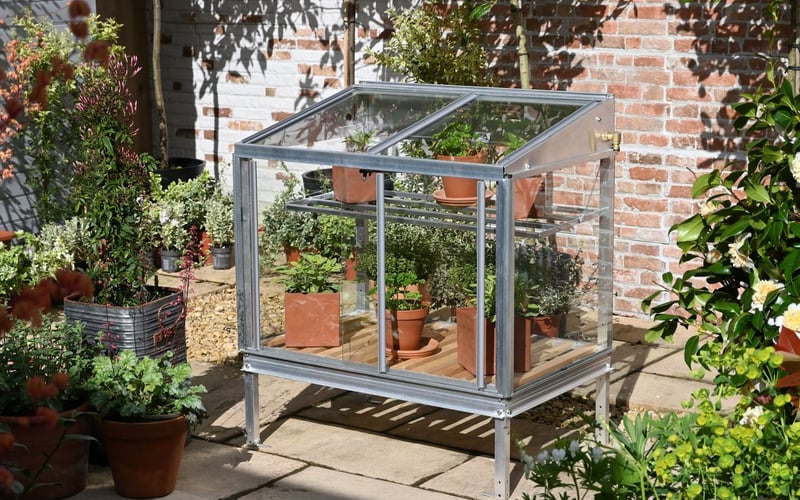 Vine weevil prevention checks on container plants in the 1x3 Access Herb House mini greenhouse