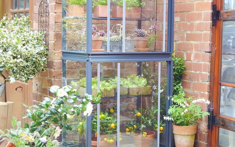 2x3 Access City Growhouse with raised shelves for checking vine weevil damage on greenhouse pots