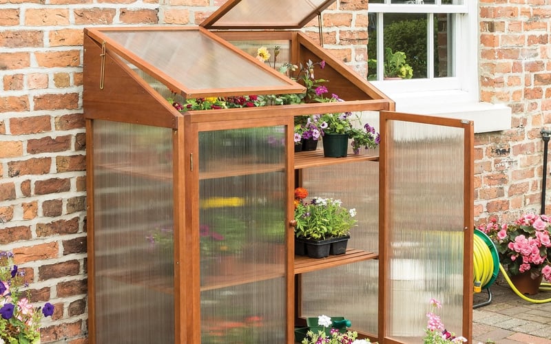 3x2 Hardwood Mini Greenhouse with accessible shelves for checking pots for vine weevil